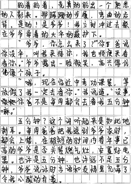 中考优秀作文800字